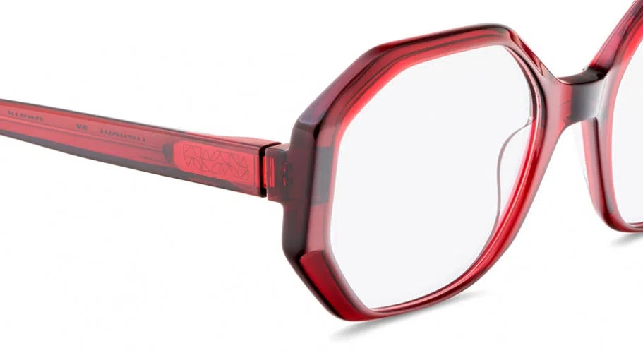 Etnia Barcelona ANEMONA Eyeglasses - view 13